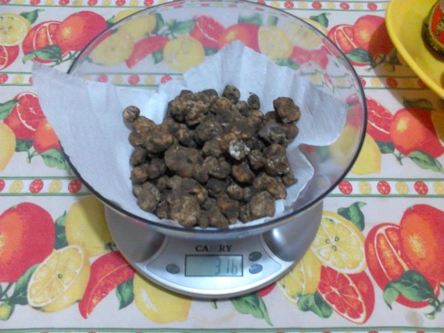 316 gr